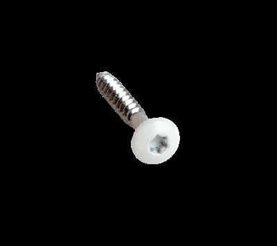 Valkoiset ruuvit 4,0 x 30 mm TX20 - 50 kpl
