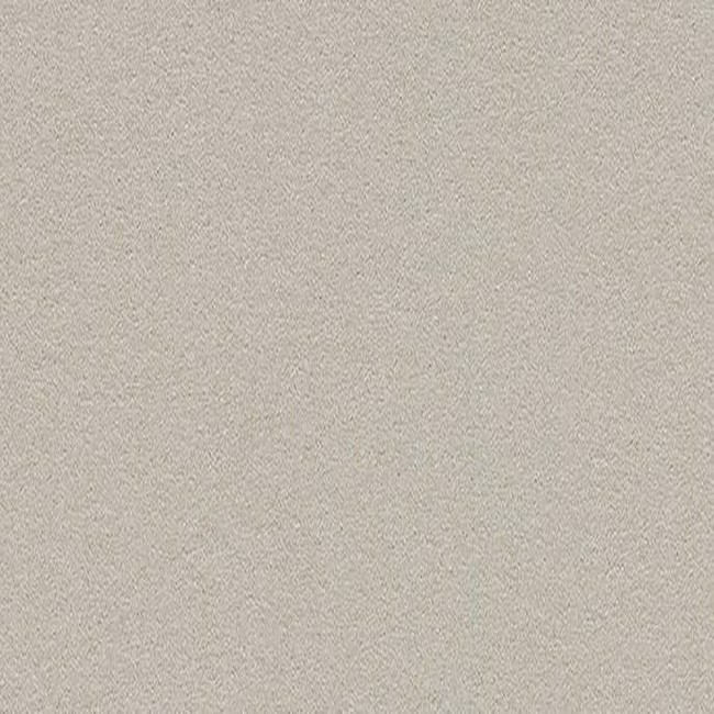 Linoleumi ilmoitustaululle Oyster Shell